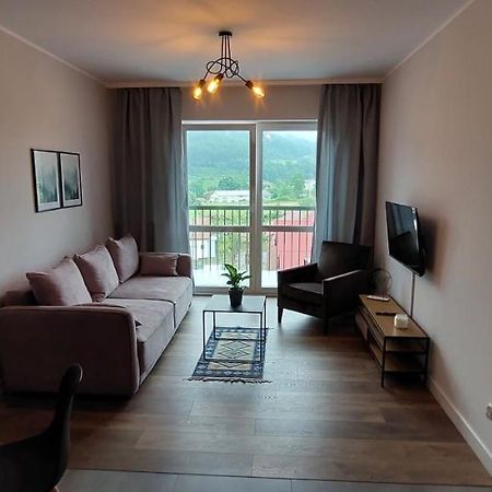 Apartamenty W Bieszczadach 우스트르치키 돌네 외부 사진